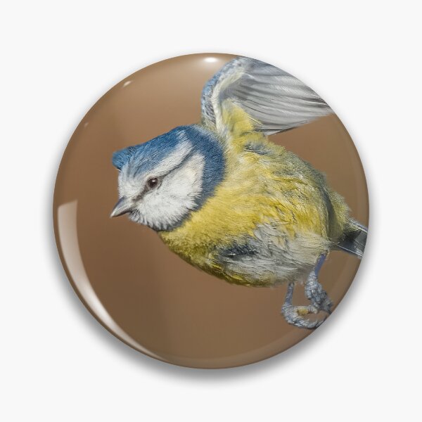 Item preview, Blue tit in flight designed and sold by AliMarleyPhoto.