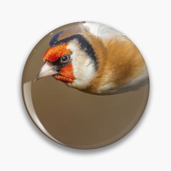 Item preview, Goldfinch in flight designed and sold by AliMarleyPhoto.