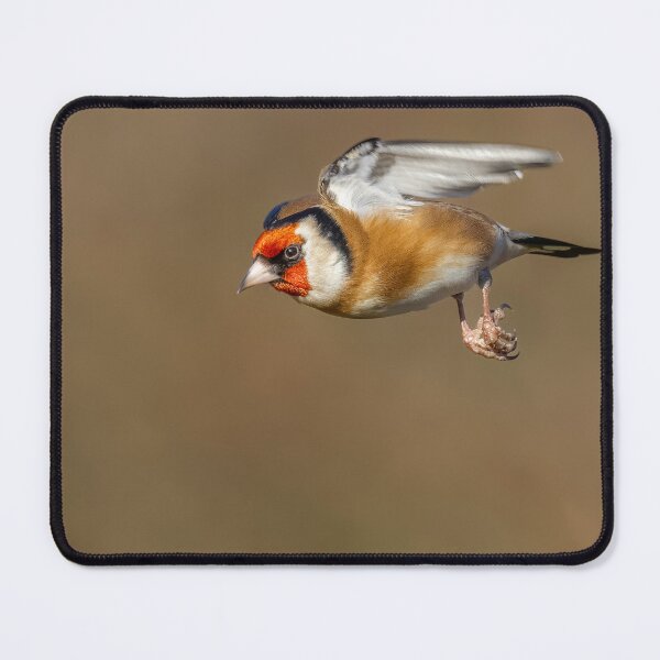 Item preview, Goldfinch in flight designed and sold by AliMarleyPhoto.
