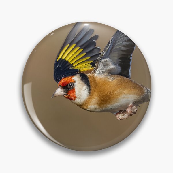 Item preview, Goldfinch in flight designed and sold by AliMarleyPhoto.
