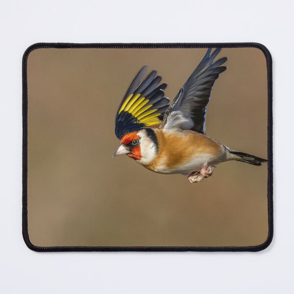 Item preview, Goldfinch in flight designed and sold by AliMarleyPhoto.