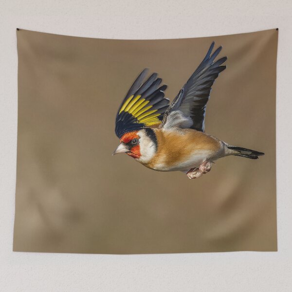 Item preview, Goldfinch in flight designed and sold by AliMarleyPhoto.
