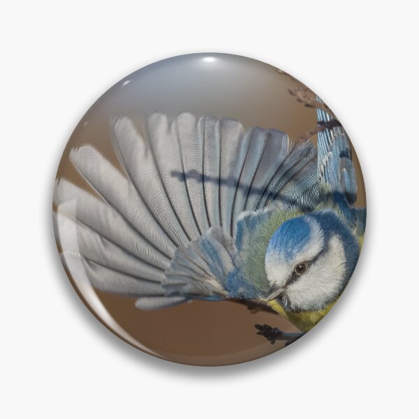 Item preview, Blue tit wing designed and sold by AliMarleyPhoto.