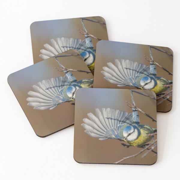 Item preview, Blue tit wing designed and sold by AliMarleyPhoto.