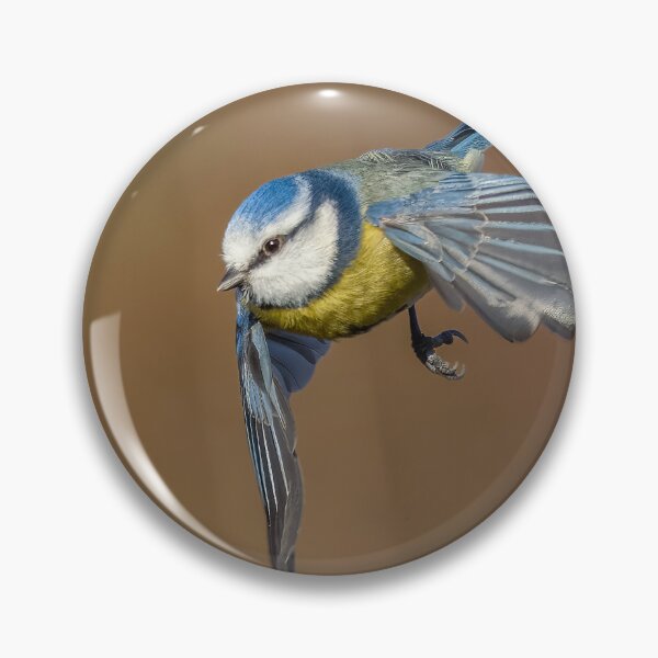 Item preview, Blue tit flight designed and sold by AliMarleyPhoto.
