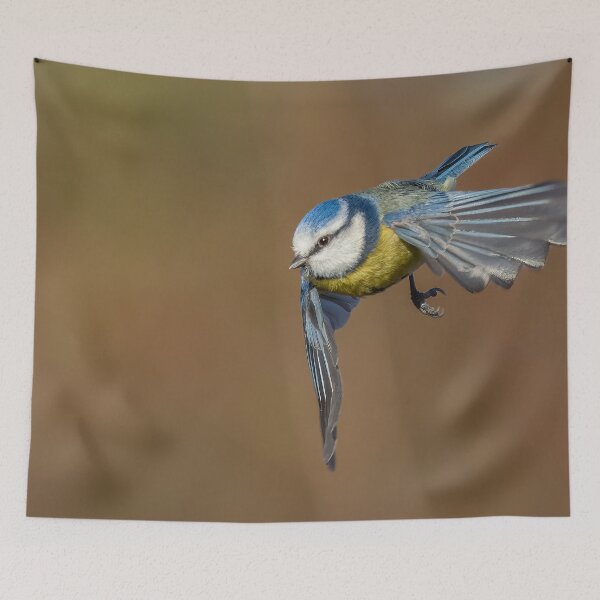 Item preview, Blue tit flight designed and sold by AliMarleyPhoto.