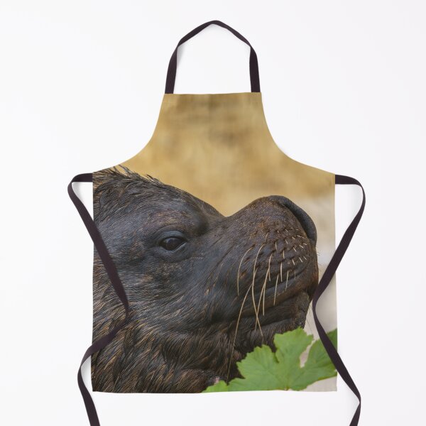 Item preview, South American sea lion bull designed and sold by rawshutterbug.