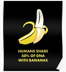 Humans Share 50% of DNA with Bananas! Funny Science Shirts & Gifts Poster