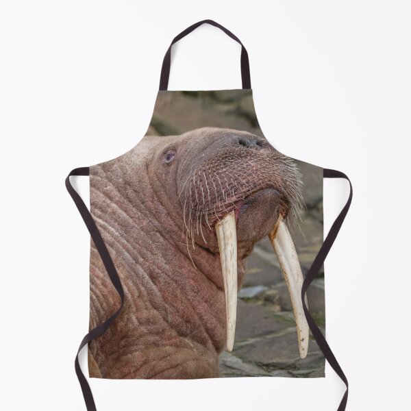 Item preview, Thor The Walrus designed and sold by AliMarleyPhoto.