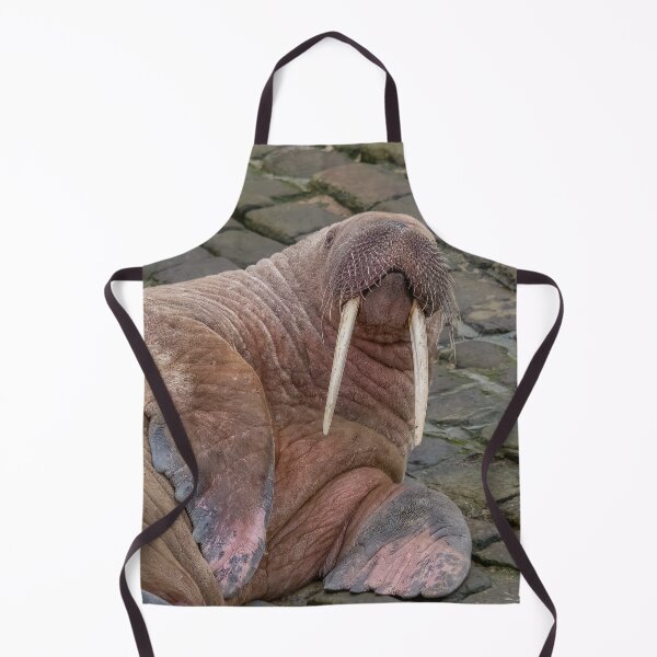 Item preview, Thor the Walrus designed and sold by AliMarleyPhoto.