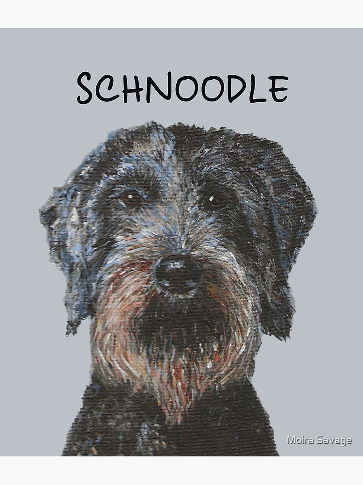 Schnoodle stuffed outlet animal