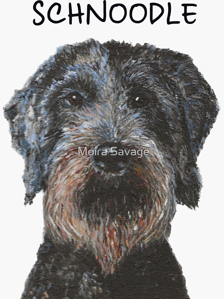 Schnoodle doodles hot sale