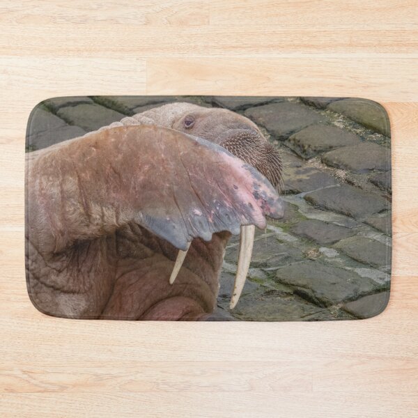 Item preview, peek a boo walrus style designed and sold by AliMarleyPhoto.