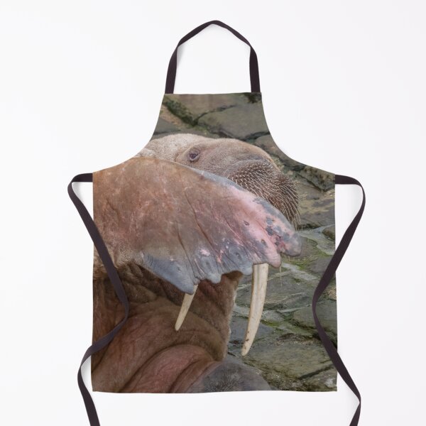 Item preview, peek a boo walrus style designed and sold by AliMarleyPhoto.