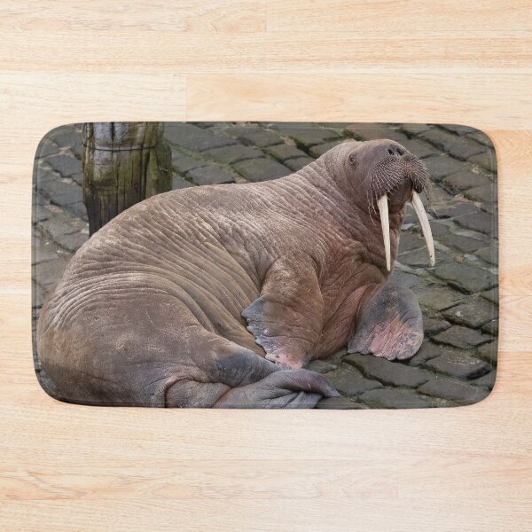 Item preview, Thor the wandering walrus designed and sold by AliMarleyPhoto.