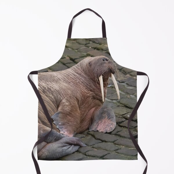 Item preview, Thor the wandering walrus designed and sold by AliMarleyPhoto.