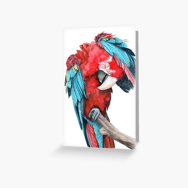 Watercolor red and blue parrot Greeting Card