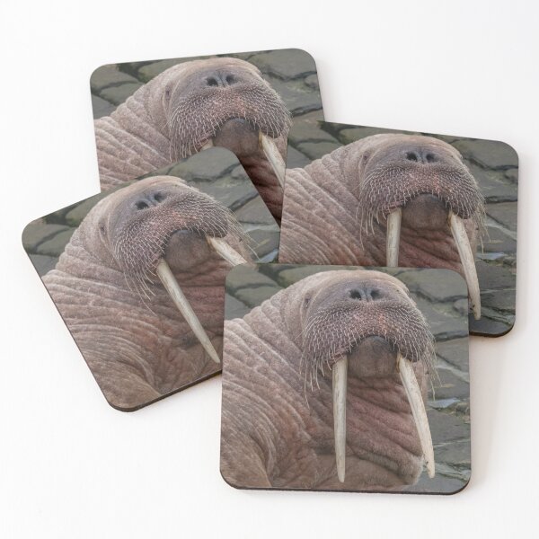 Item preview, Thor the walrus designed and sold by AliMarleyPhoto.