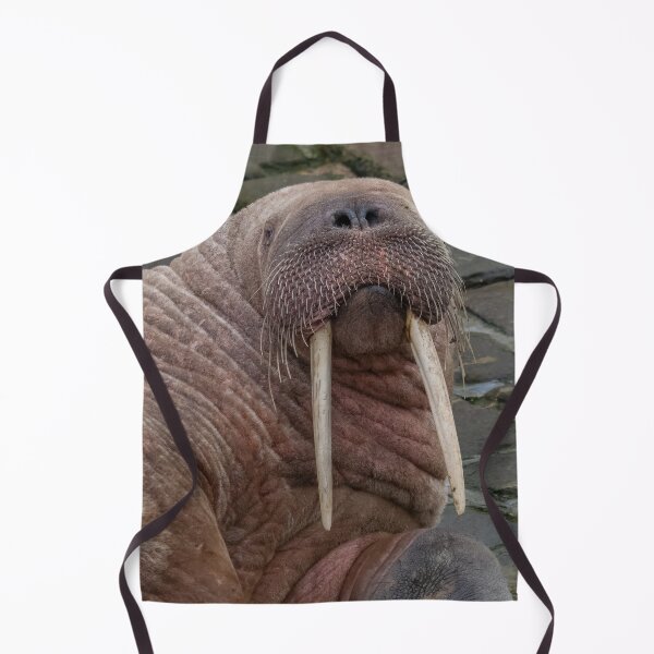 Item preview, Thor the walrus designed and sold by AliMarleyPhoto.