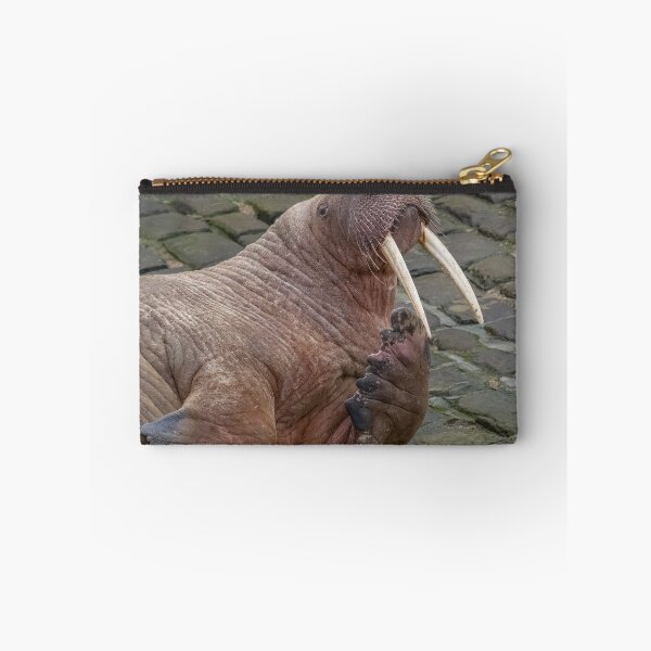 Item preview, Thor the walrus striking a pose designed and sold by AliMarleyPhoto.