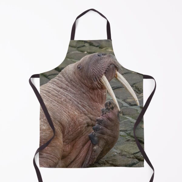 Item preview, Thor the walrus striking a pose designed and sold by AliMarleyPhoto.