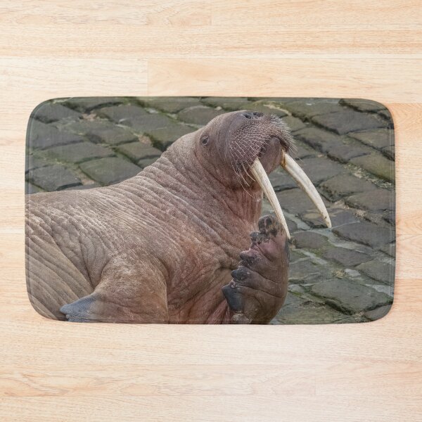 Item preview, Thor the walrus striking a pose designed and sold by AliMarleyPhoto.