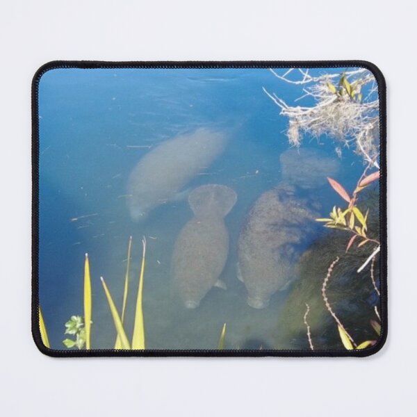 Item preview, Manatees designed and sold by TheArtCave.