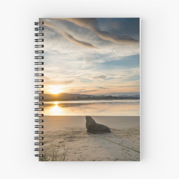 Item preview, Sealion, Surat Bay designed and sold by Naomi Brooks.