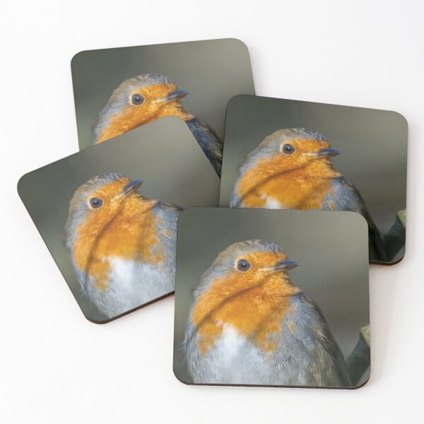 Item preview, Robin in the sun designed and sold by AliMarleyPhoto.
