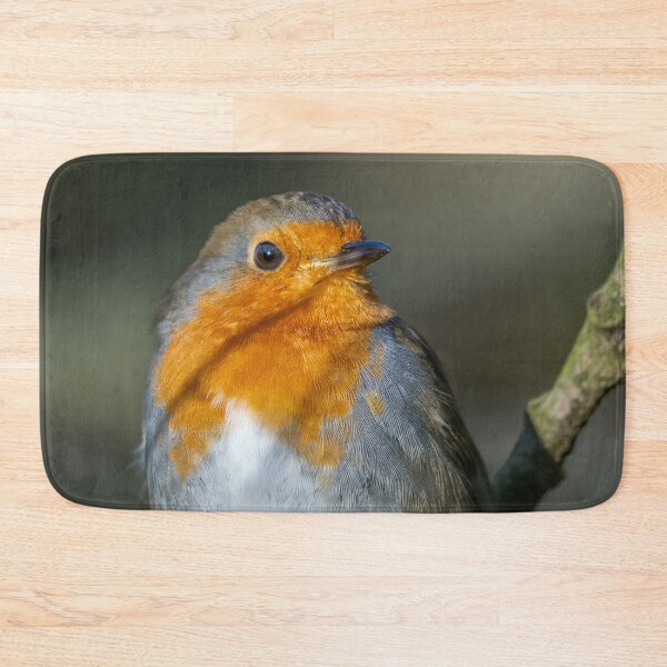 Item preview, Robin in the sun designed and sold by AliMarleyPhoto.