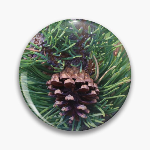 Item preview, Pinecone - Switserland designed and sold by AnimaliaArt.