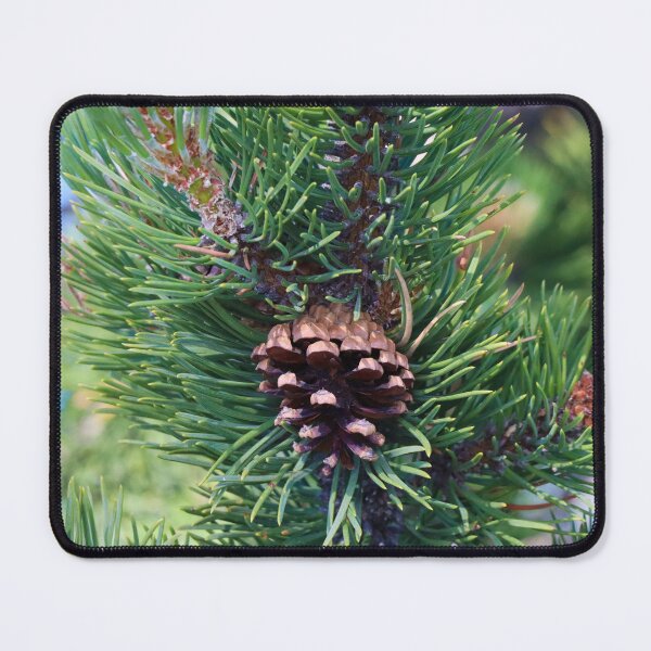 Item preview, Pinecone - Switserland designed and sold by AnimaliaArt.