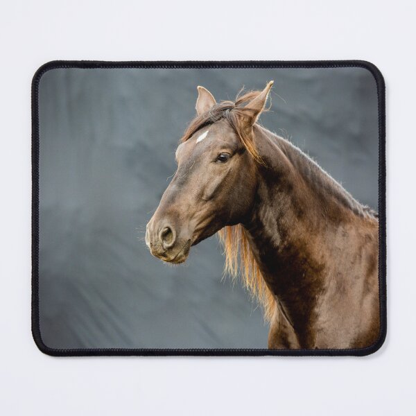 Item preview, Stallion portrait designed and sold by PonyPortrait.