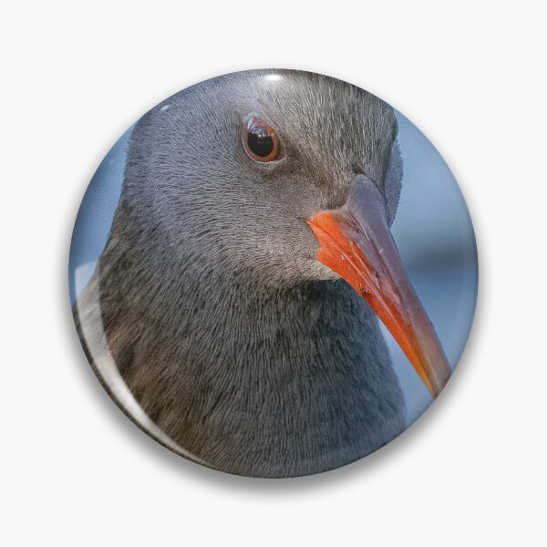 Item preview, Water rail designed and sold by AliMarleyPhoto.