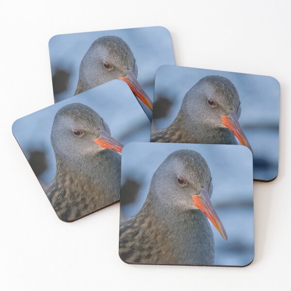 Item preview, Water rail designed and sold by AliMarleyPhoto.