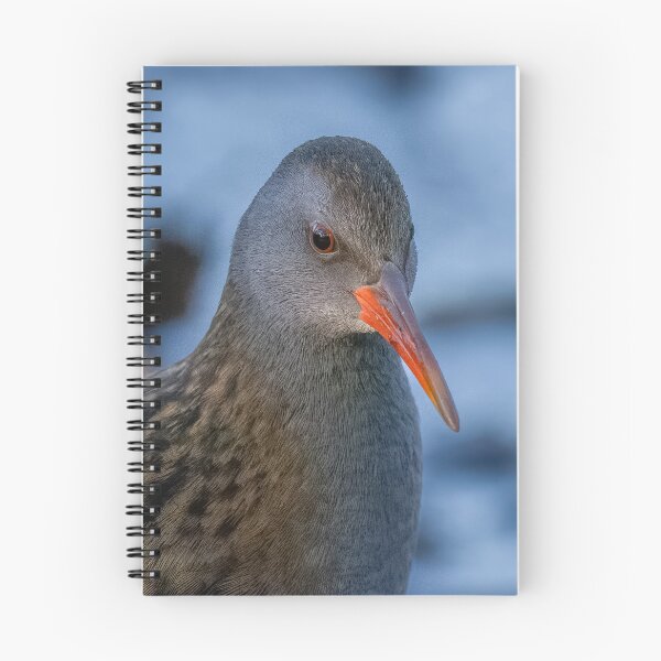 Item preview, Water rail designed and sold by AliMarleyPhoto.