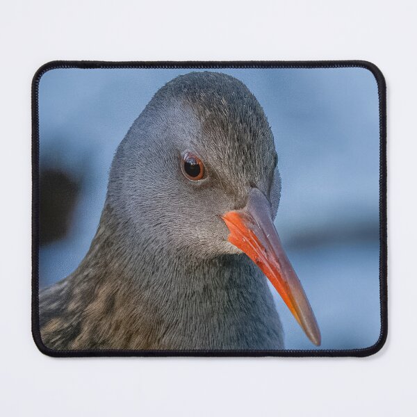 Item preview, Water rail designed and sold by AliMarleyPhoto.