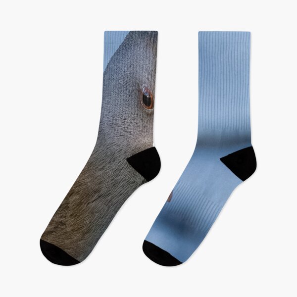 Item preview, Water rail designed and sold by AliMarleyPhoto.