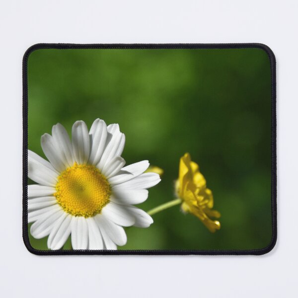 Item preview, A daisy in the garden designed and sold by Claude Laprise.