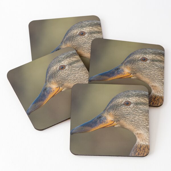 Item preview, female mallard designed and sold by AliMarleyPhoto.