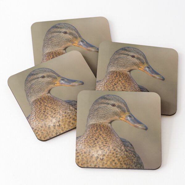 Item preview, female mallard duck designed and sold by AliMarleyPhoto.
