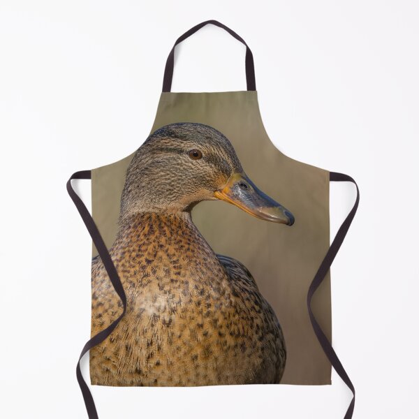 Item preview, female mallard duck designed and sold by AliMarleyPhoto.
