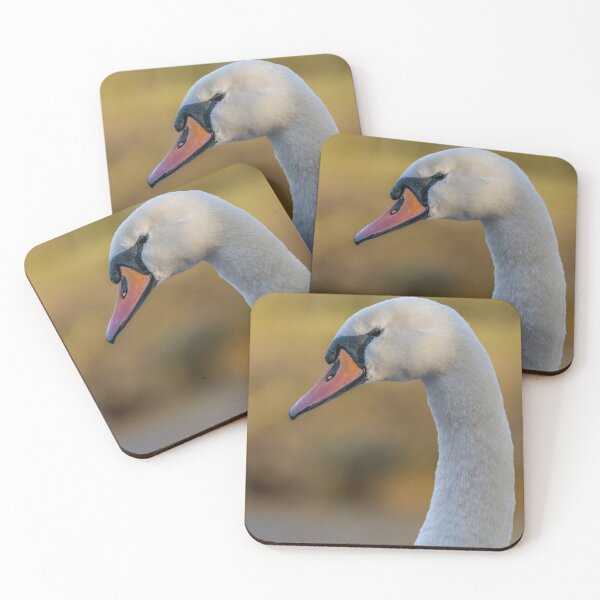Item preview, swan close up designed and sold by AliMarleyPhoto.