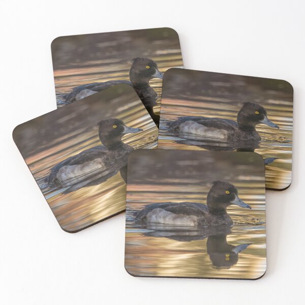 Item preview, tufted duck in golden light designed and sold by AliMarleyPhoto.