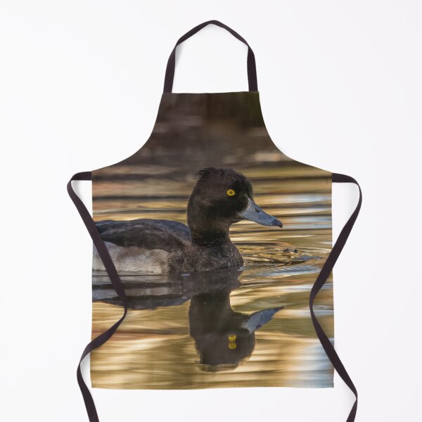 Item preview, tufted duck in golden light designed and sold by AliMarleyPhoto.