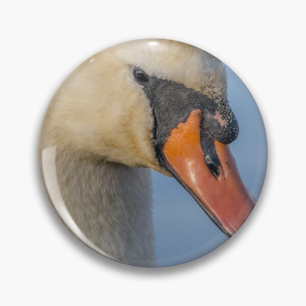 Item preview, side view swan designed and sold by AliMarleyPhoto.