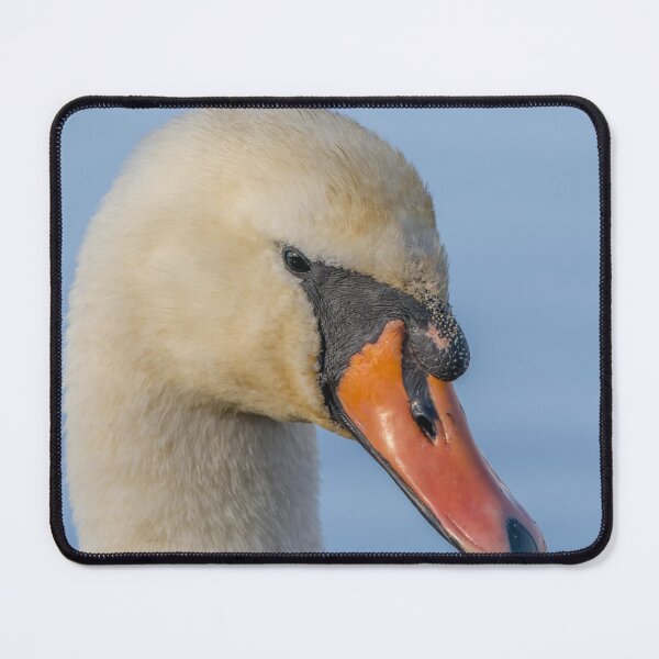 Item preview, side view swan designed and sold by AliMarleyPhoto.