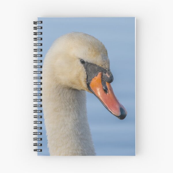 Item preview, side view swan designed and sold by AliMarleyPhoto.