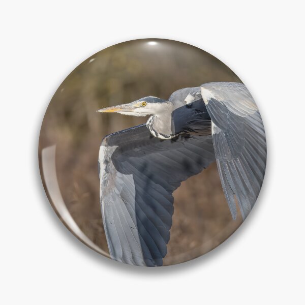Item preview, heron in flight designed and sold by AliMarleyPhoto.