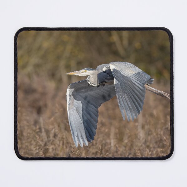 Item preview, heron in flight designed and sold by AliMarleyPhoto.